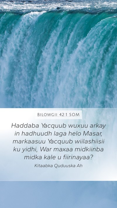 Bilowgii 42:1 SOM Mobile Phone Wallpaper - Haddaba Yacquub wuxuu arkay in hadhuudh laga helo - Mobile Bible Verse Wallpaper