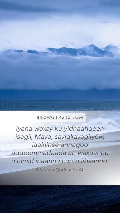 Bilowgii 42:10 SOM Bible Verse Image