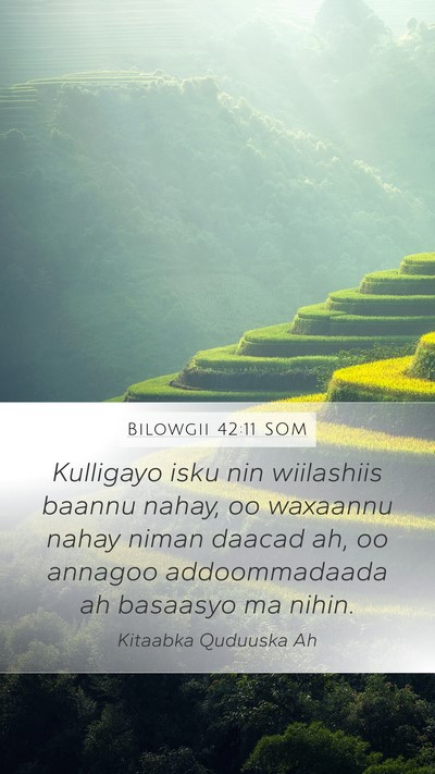 Bilowgii 42:11 SOM Bible Verse Image