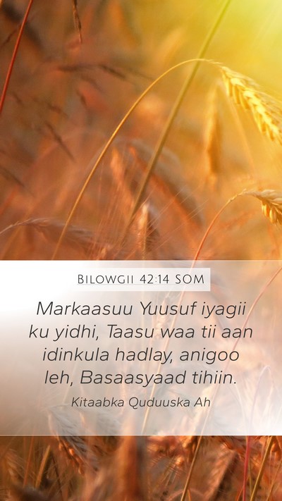 Bilowgii 42:14 SOM Bible Verse Image