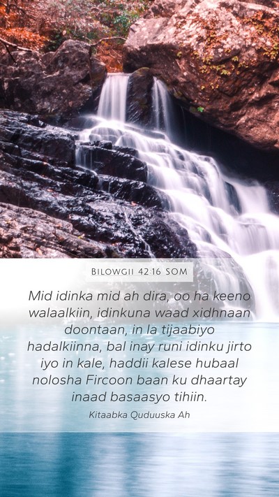 Bilowgii 42:16 SOM Bible Verse Image