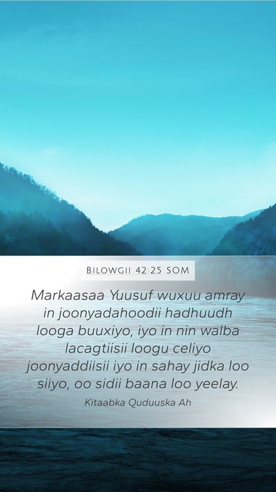 Bilowgii 42:25 SOM Bible Verse Image