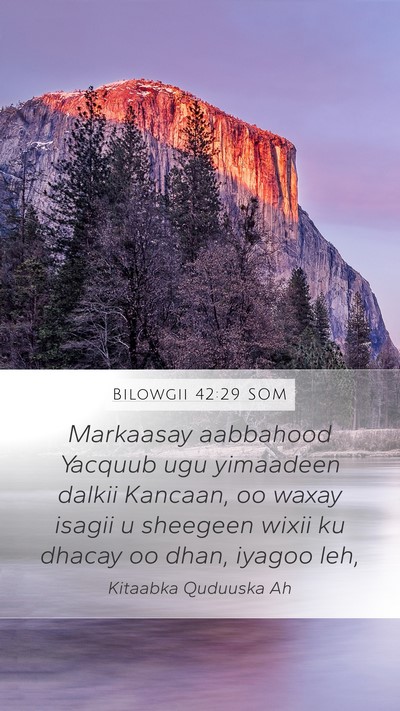 Bilowgii 42:29 SOM Bible Verse Image