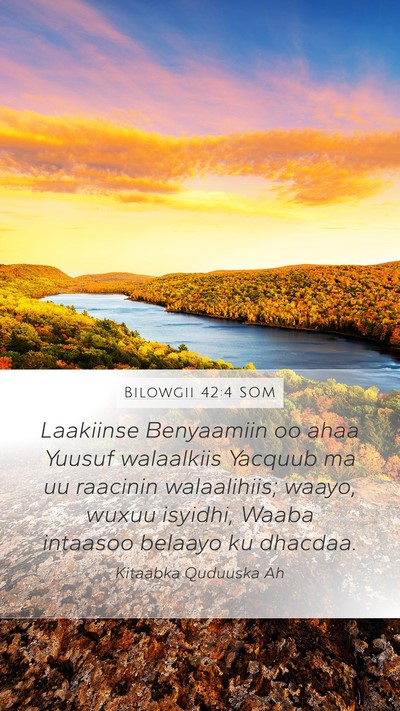 Bilowgii 42:4 SOM Mobile Phone Wallpaper - Laakiinse Benyaamiin oo ahaa Yuusuf walaalkiis - Mobile Bible Verse Wallpaper