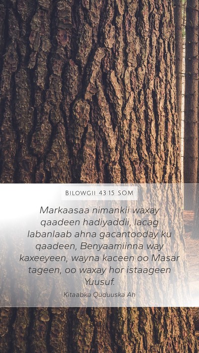 Bilowgii 43:15 SOM Bible Verse Image