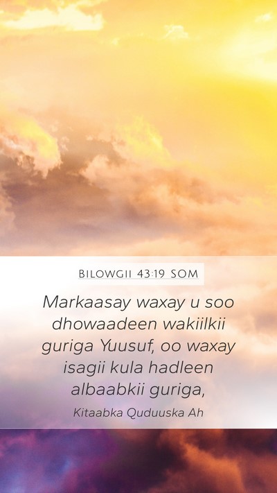 Bilowgii 43:19 SOM Bible Verse Image