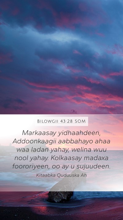 Bilowgii 43:28 SOM Bible Verse Image