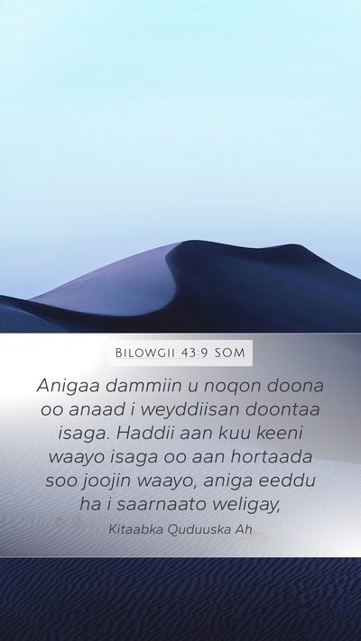 Bilowgii 43:9 SOM Bible Verse Image