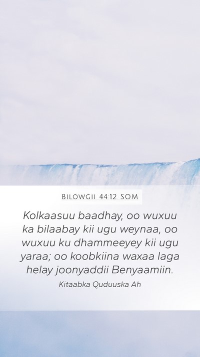 Bilowgii 44:12 SOM Mobile Phone Wallpaper - Kolkaasuu baadhay, oo wuxuu ka bilaabay kii ugu - Mobile Bible Verse Wallpaper