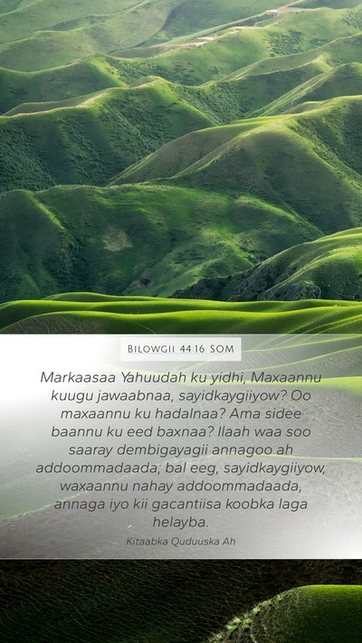 Bilowgii 44:16 SOM Bible Verse Image