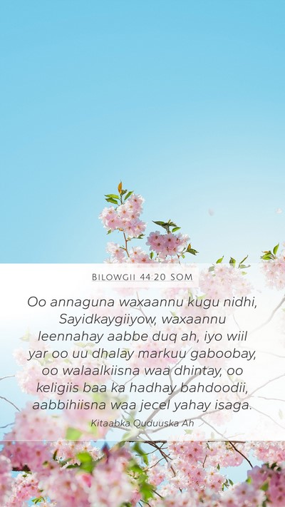 Bilowgii 44:20 SOM Bible Verse Image