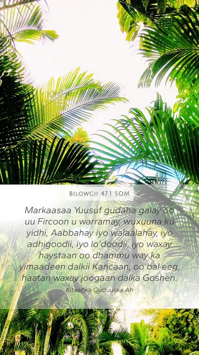 Bilowgii 47:1 SOM Mobile Phone Wallpaper - Markaasaa Yuusuf gudaha galay oo uu Fircoon u - Mobile Bible Verse Wallpaper