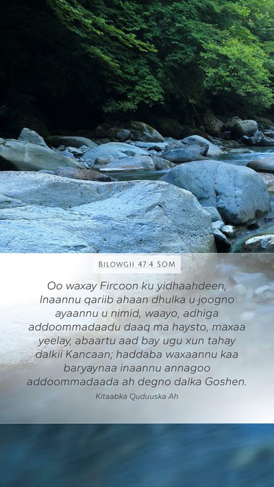 Bilowgii 47:4 SOM Bible Verse Image