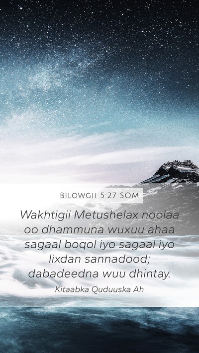 Bilowgii 5:27 SOM Mobile Phone Wallpaper - Wakhtigii Metushelax noolaa oo dhammuna wuxuu - Mobile Bible Verse Wallpaper