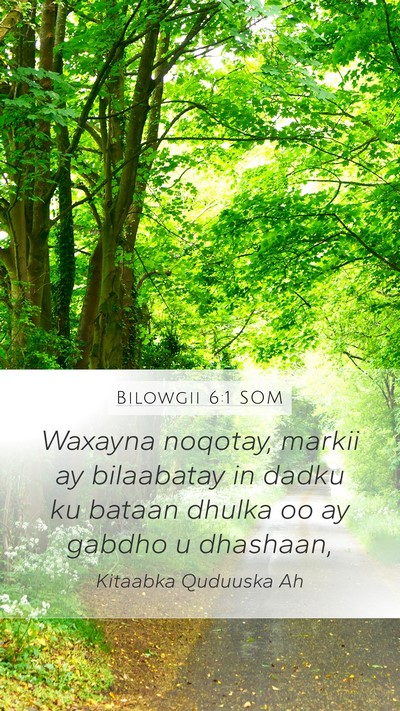 Bilowgii 6:1 SOM Mobile Phone Wallpaper - Waxayna noqotay, markii ay bilaabatay in dadku ku - Mobile Bible Verse Wallpaper