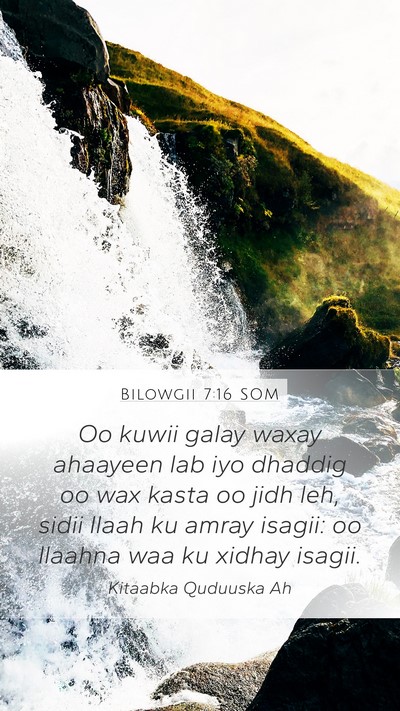 Bilowgii 7:16 SOM Bible Verse Image