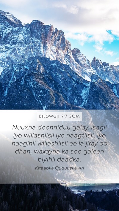 Bilowgii 7:7 SOM Bible Verse Image