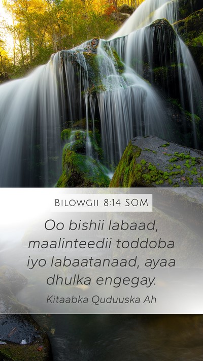 Bilowgii 8:14 SOM Mobile Phone Wallpaper - Oo bishii labaad, maalinteedii toddoba iyo - Mobile Bible Verse Wallpaper