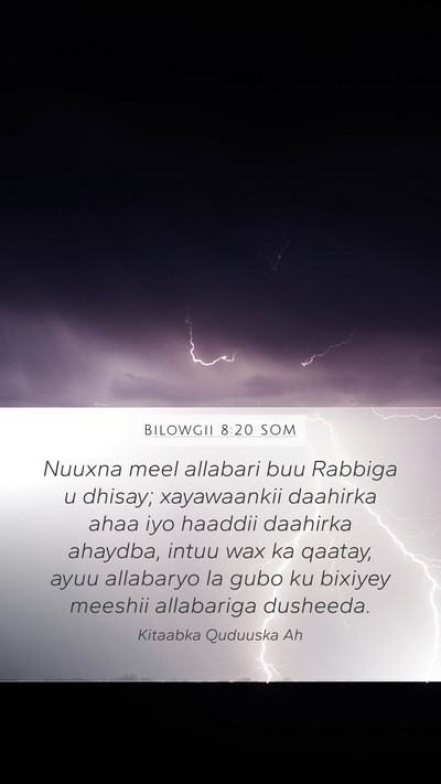Bilowgii 8:20 SOM Bible Verse Image