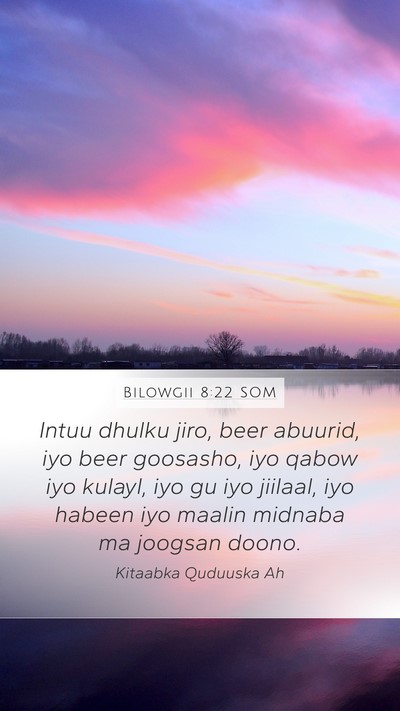 Bilowgii 8:22 SOM Bible Verse Image