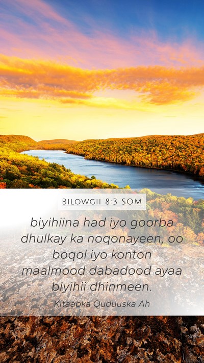 Bilowgii 8:3 SOM Bible Verse Image