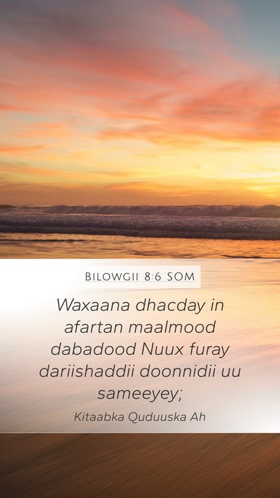 Bilowgii 8:6 SOM Bible Verse Image