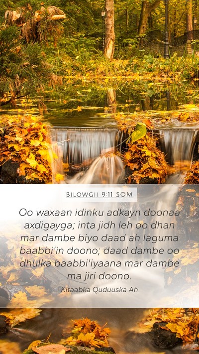 Bilowgii 9:11 SOM Bible Verse Image