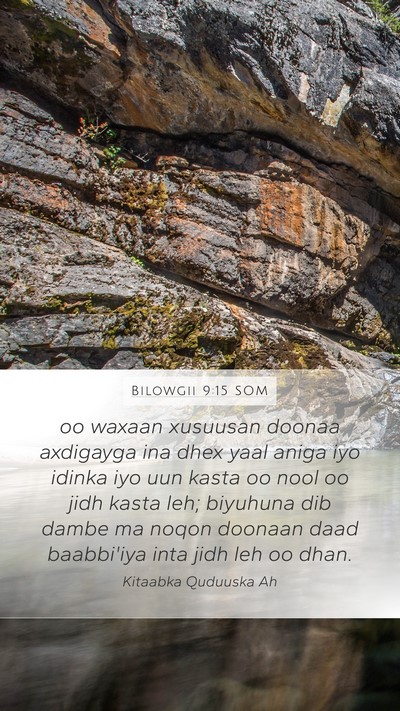 Bilowgii 9:15 SOM Bible Verse Image