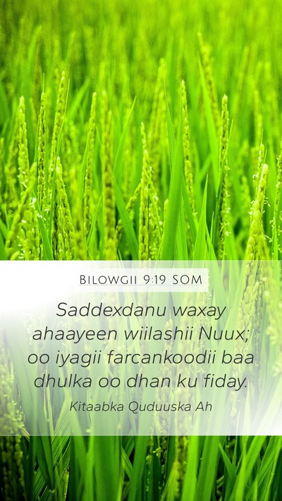 Bilowgii 9:19 SOM Bible Verse Image