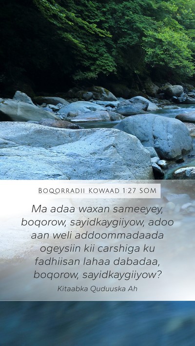 Boqorradii Kowaad 1:27 SOM Mobile Phone Wallpaper - Ma adaa waxan sameeyey, boqorow, sayidkaygiiyow, - Mobile Bible Verse Wallpaper