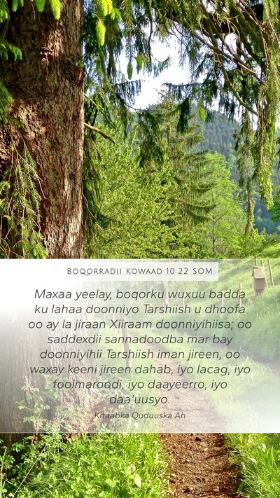 Boqorradii Kowaad 10:22 SOM Bible Verse Image