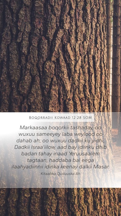 Boqorradii Kowaad 12:28 SOM Bible Verse Image