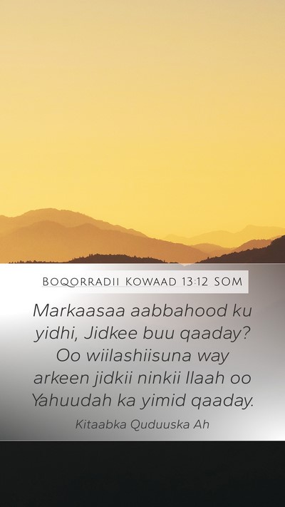Boqorradii Kowaad 13:12 SOM Mobile Phone Wallpaper - Markaasaa aabbahood ku yidhi, Jidkee buu qaaday? - Mobile Bible Verse Wallpaper