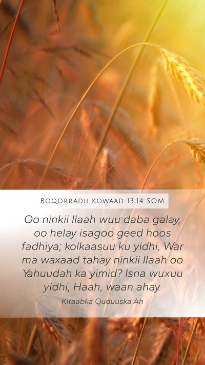 Boqorradii Kowaad 13:14 SOM Mobile Phone Wallpaper - Oo ninkii Ilaah wuu daba galay, oo helay isagoo - Mobile Bible Verse Wallpaper