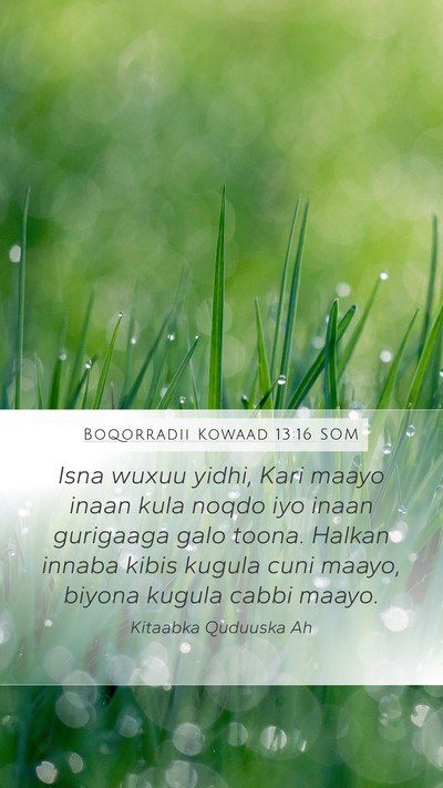 Boqorradii Kowaad 13:16 SOM Bible Verse Image