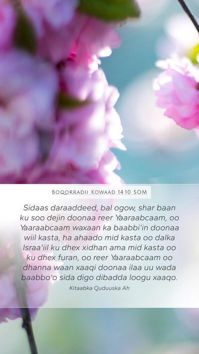 Boqorradii Kowaad 14:10 SOM Bible Verse Image
