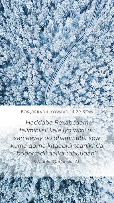 Boqorradii Kowaad 14:29 SOM Bible Verse Image
