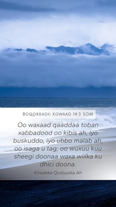 Boqorradii Kowaad 14:3 SOM Bible Verse Image