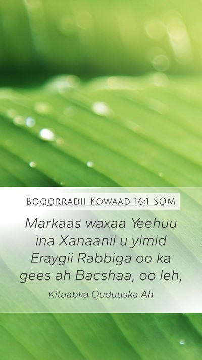 Boqorradii Kowaad 16:1 SOM Bible Verse Image