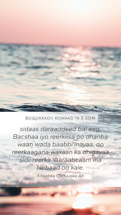Boqorradii Kowaad 16:3 SOM Mobile Phone Wallpaper - sidaas daraaddeed bal eeg, Bacshaa iyo reerkiisa - Mobile Bible Verse Wallpaper