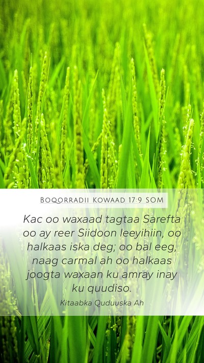 Boqorradii Kowaad 17:9 SOM Bible Verse Image