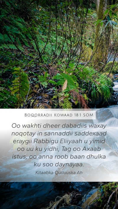 Boqorradii Kowaad 18:1 SOM Bible Verse Image