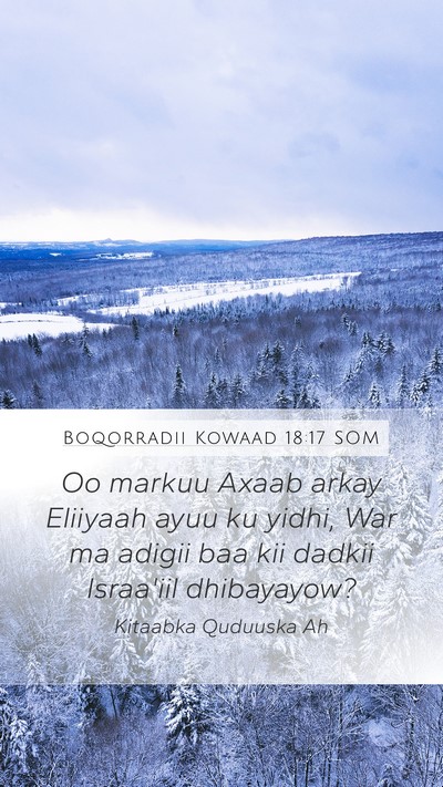 Boqorradii Kowaad 18:17 SOM Bible Verse Image