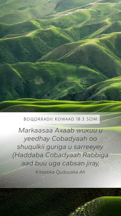 Boqorradii Kowaad 18:3 SOM Bible Verse Image
