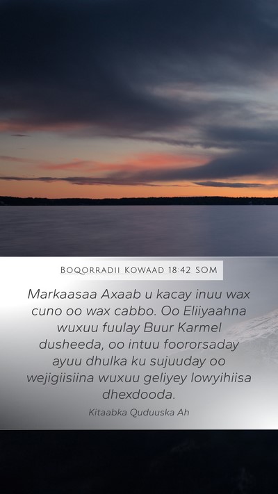Boqorradii Kowaad 18:42 SOM Bible Verse Image