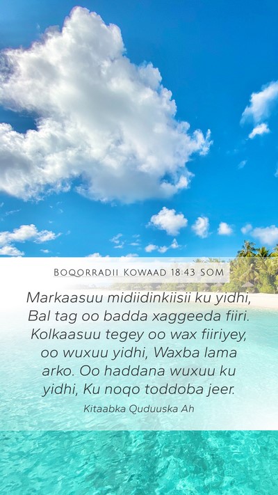 Boqorradii Kowaad 18:43 SOM Bible Verse Image