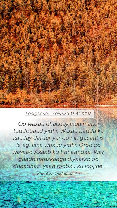 Boqorradii Kowaad 18:44 SOM Bible Verse Image