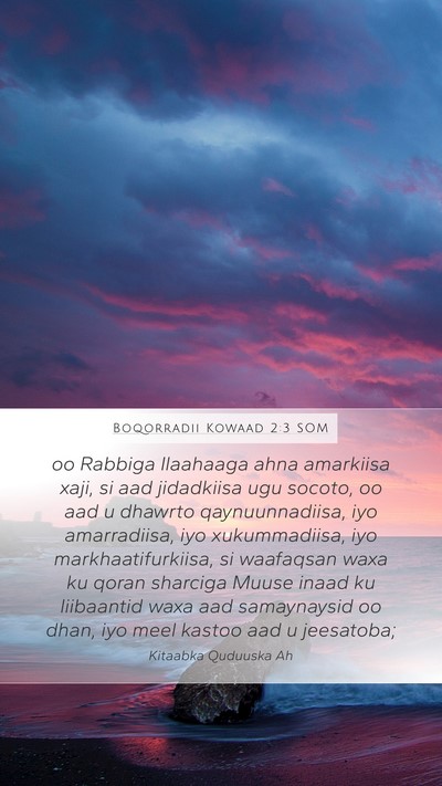 Boqorradii Kowaad 2:3 SOM Bible Verse Image
