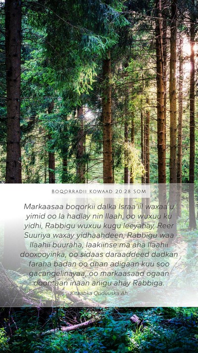 Boqorradii Kowaad 20:28 SOM Bible Verse Image