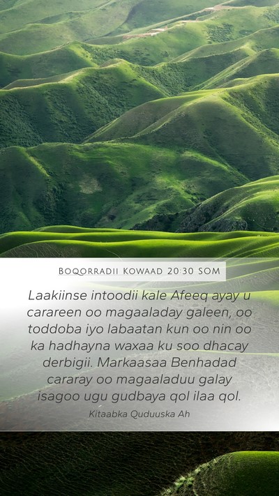 Boqorradii Kowaad 20:30 SOM Bible Verse Image